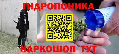 хмурый Новозыбков