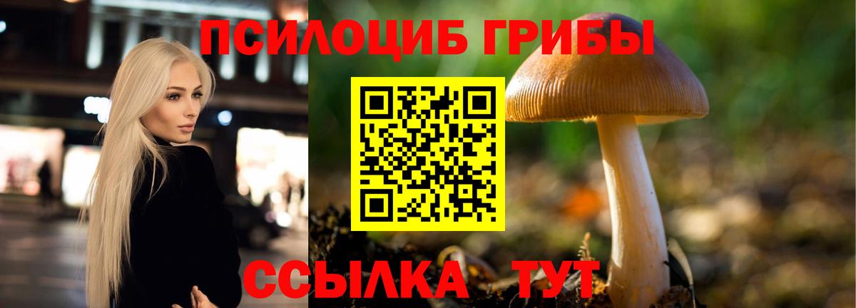 Сегежа  купить наркотики сайты  Вход с VPN  Псилоцибиновые грибы GOLDEN TEACHER 