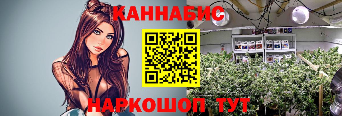 Шишки марихуана Amnesia Сегежа